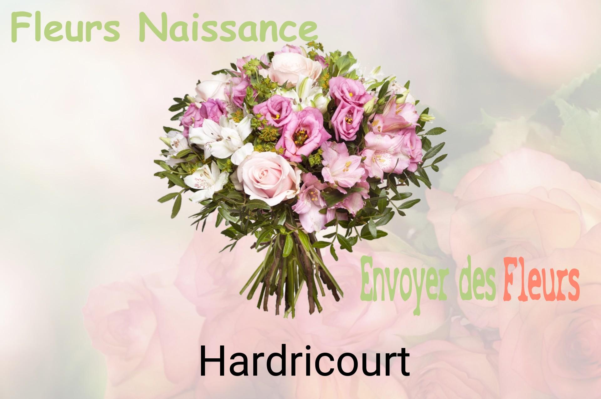 Bouquet de fleurs de naissance livré à Hardricourt